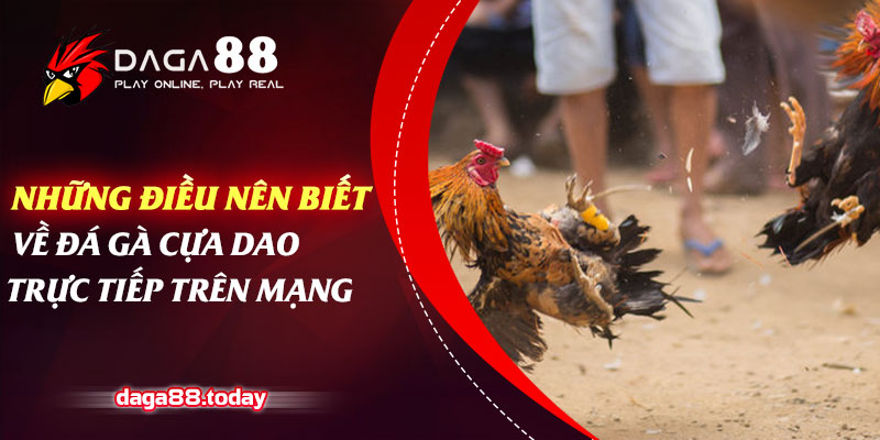 Những Điều Nên Biết Về Đá Gà Cựa Dao Trực Tiếp Trên Mạng