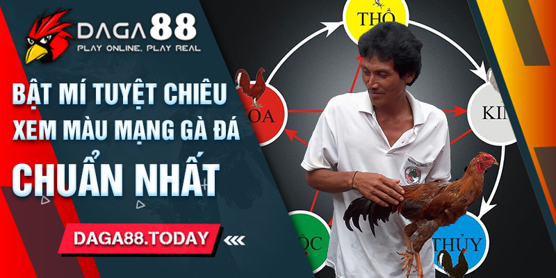 Bật Mí Cách Xem Màu Mạng Gà Đá Chuẩn Nhất