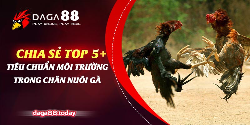 Chia Sẻ Top 5+ Tiêu Chuẩn Môi Trường Trong Chăn Nuôi Gà