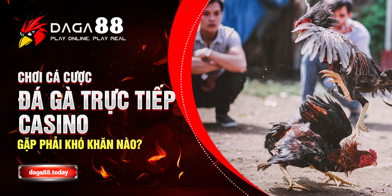 Chơi Cá Cược Đá Gà Trực Tiếp Casino Gặp Phải Khó Khăn Nào?