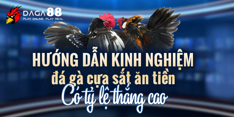 đá gà cựa sắt ăn tiền