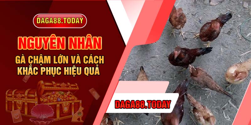 Nguyên Nhân Gà Chậm Lớn Và Cách Khắc Phục Hiệu Quả