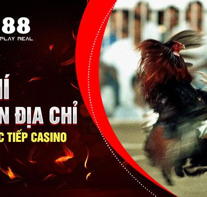Tiêu Chí Lựa Chọn Địa Chỉ Xem Đá Gà Trực Tiếp Casino