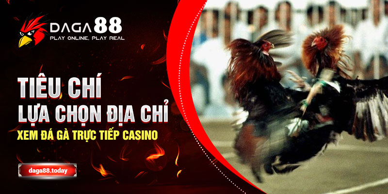 Tiêu Chí Lựa Chọn Địa Chỉ Xem Đá Gà Trực Tiếp Casino
