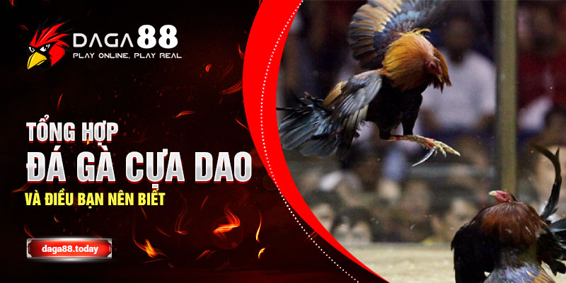 Tổng Hợp Đá Gà Cựa Dao Và Điều Bạn Nên Biết