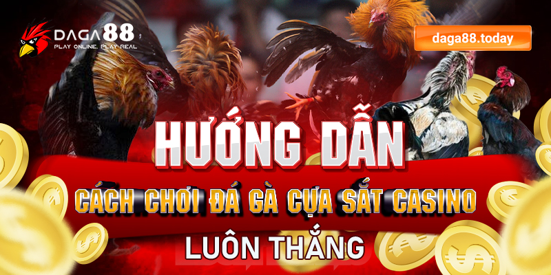 Hướng dẫn cách chơi đá gà cựa sắt casino luôn thắng