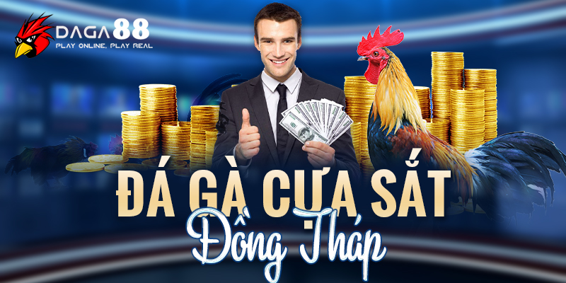 đá gà cựa sắt đồng tháp