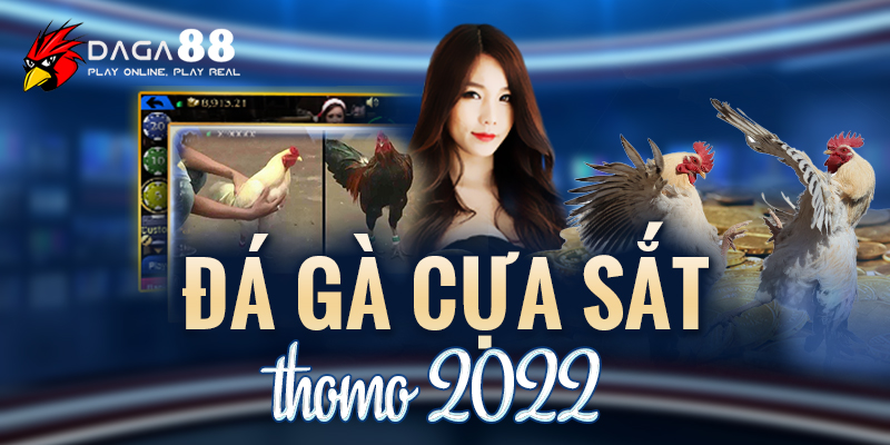 đá gà cựa sắt thomo 2022