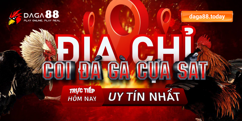 Địa chỉ coi đá gà cựa sắt trực tiếp hôm nay uy tín nhất