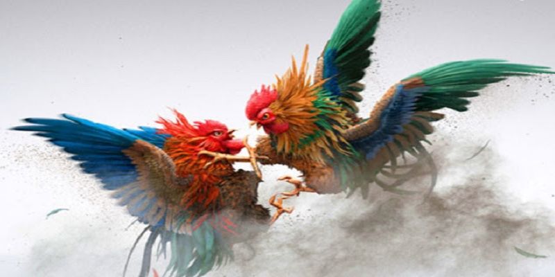 Chọn nhà cái quy mô lớn để chơi