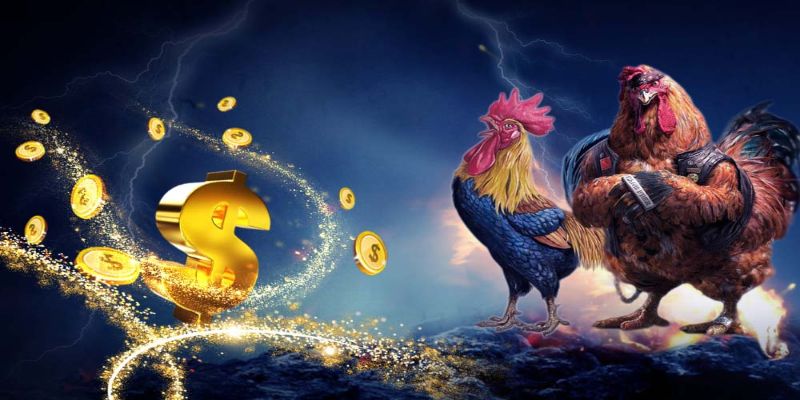 Chơi cá cược đá gà trực tiếp casino sẽ gặp phải khó khăn nào?