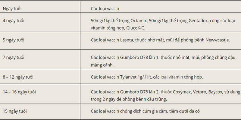 Các loại vacxin dùng để tiêm phòng cho gà Tây