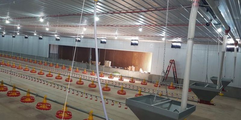Chuồng trại chính là yếu tố nắm vai trò vô cùng quan trọng