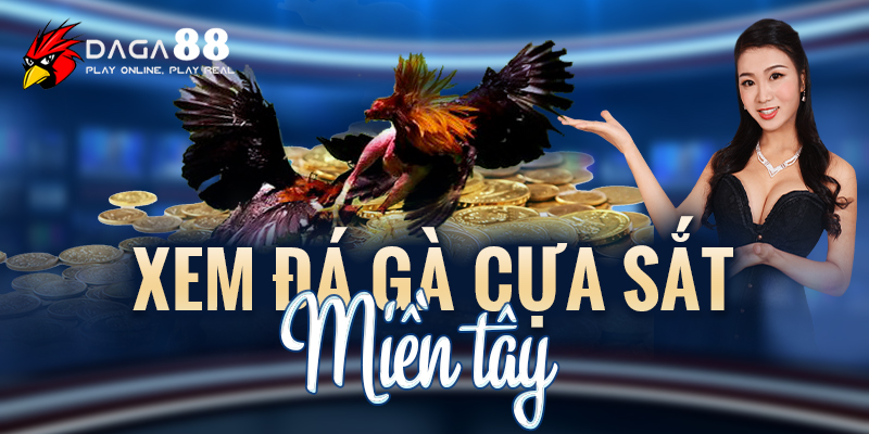 xem đá gà cựa sắt miền tây
