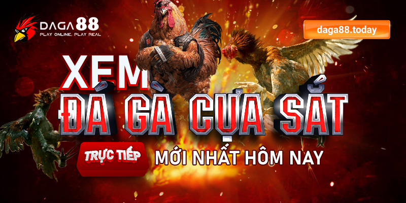 cách xem đá gà cựa sắt trực tiếp nhanh nhất dành cho các tân binh