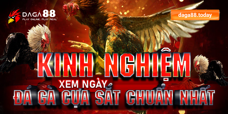 Kinh nghiệm xem ngày đá gà cựa sắt chuẩn nhất
