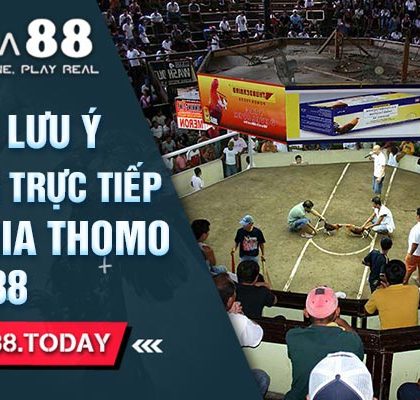 Tổng Hợp Lưu Ý Chơi Đá Gà Trực Tiếp Campuchia Thomo Tại Dag88