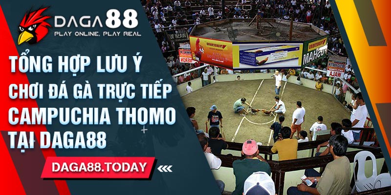 Tổng Hợp Lưu Ý Chơi Đá Gà Trực Tiếp Campuchia Thomo Tại Dag88