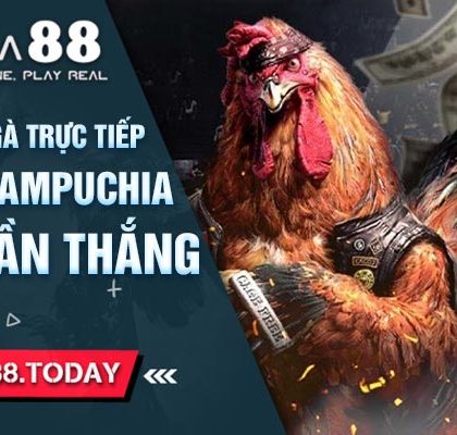 Cách Chơi Đá Gà Trực Tiếp Hôm Nay Campuchia Chắc Phần Thắng