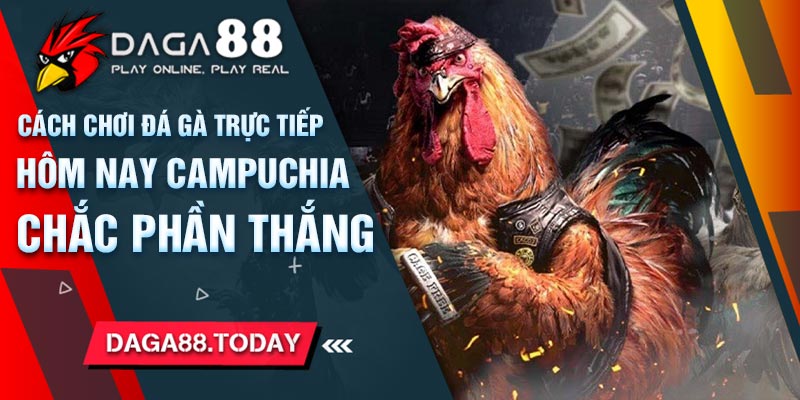 Cách Chơi Đá Gà Trực Tiếp Hôm Nay Campuchia Chắc Phần Thắng