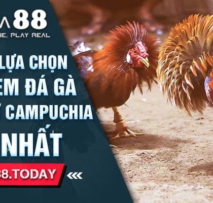 Hướng Dẫn Lựa Chọn Địa Chỉ Xem Đá Gà Trực Tiếp Ở Campuchia Chuẩn Nhất