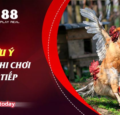 Một số lưu ý cần thiết khi chơi đá gà trực tiếp qua mạng