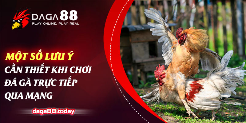 Một số lưu ý cần thiết khi chơi đá gà trực tiếp qua mạng
