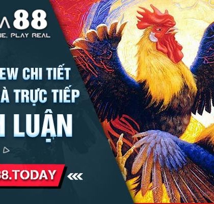 DaGa88 - Review Chi Tiết Nhà Cái Đá Gà Trực Tiếp Có Thêm Bình Luận