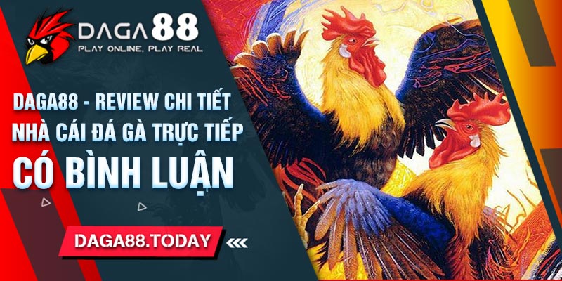 DaGa88 - Review Chi Tiết Nhà Cái Đá Gà Trực Tiếp Có Thêm Bình Luận