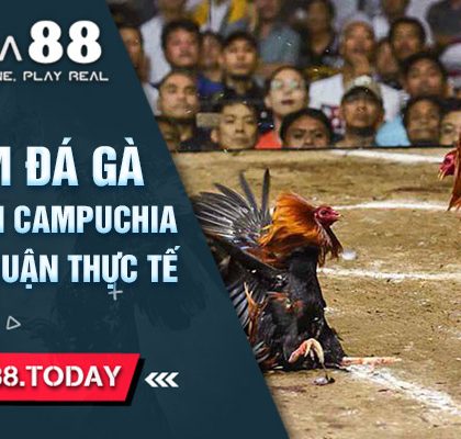 Cách xem đá gà trực tiếp bên campuchia tạo ra lợi nhuận thực tế