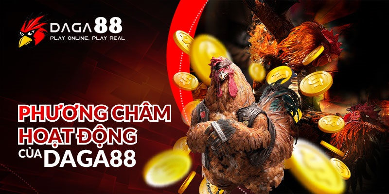 Đá gà trực tiếp thomo hôm nay chủ nhật thỏa mãn đam mê