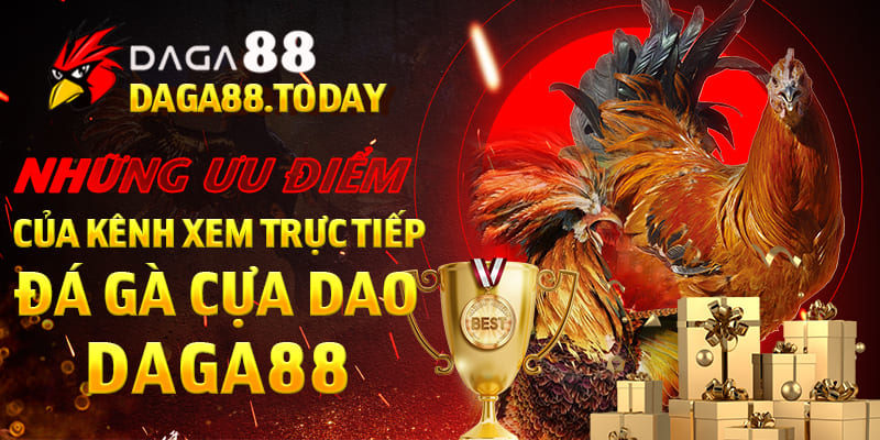 Đá gà online với những trải nghiệm thú vị và hấp dẫn