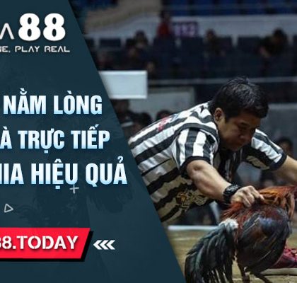 Một Số Mẹo Nằm Lòng Để Chơi Đá Gà Trực Tiếp Ở Campuchia Hiệu Quả