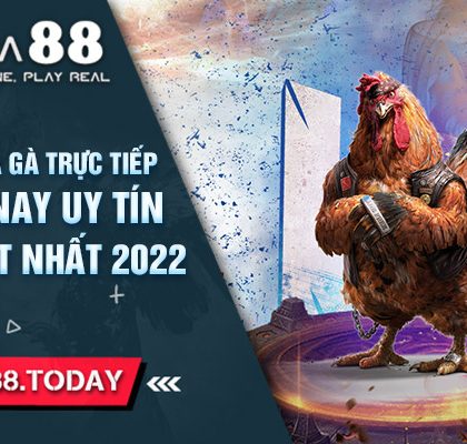Website xem đá gà trực tiếp ngày hôm nay uy tín, miễn phí tốt nhất 2022