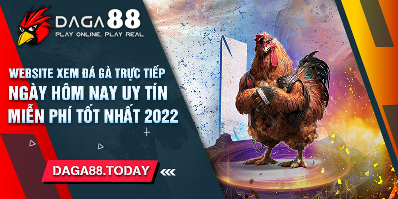 Website xem đá gà trực tiếp ngày hôm nay uy tín, miễn phí tốt nhất 2022