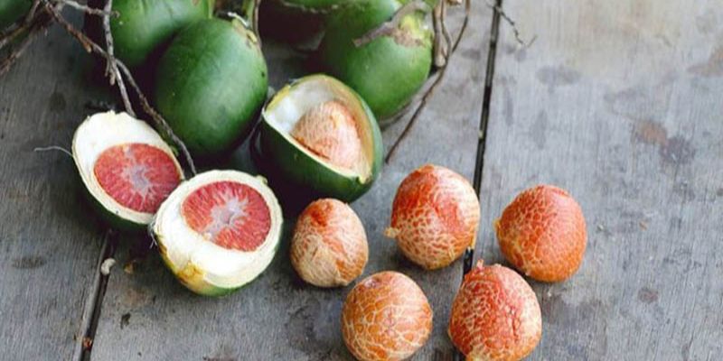 Hướng Dẫn Chi Tiết Cách Tẩy Giun Cho Gà Chọi Bằng Hạt Cau