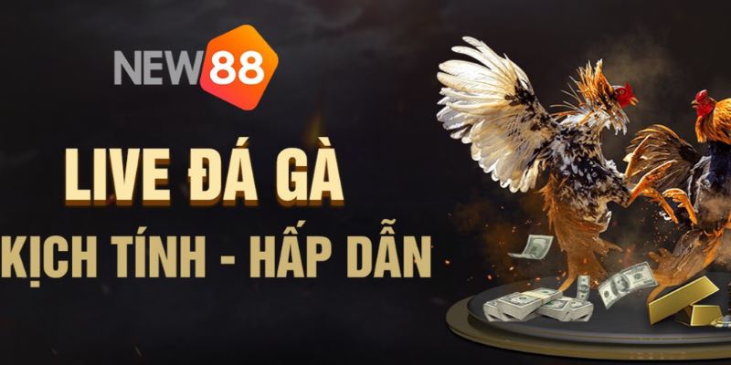 Hướng dẫn đăng ký tài khoản đá gà New88 đơn giản nhất
