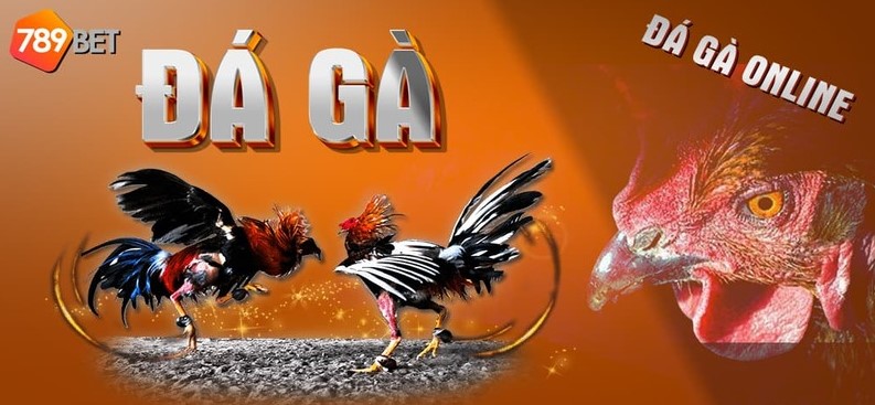 Cần làm gì để đăng ký tài khoản tại 789bet?