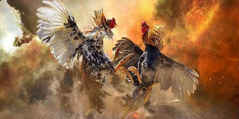 Sở hữu nhiều ưu điểm nổi bật
