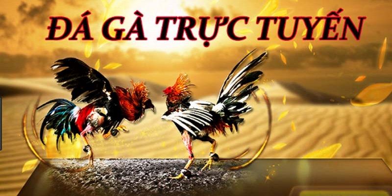 Sơ lược về nhà cái Sv388