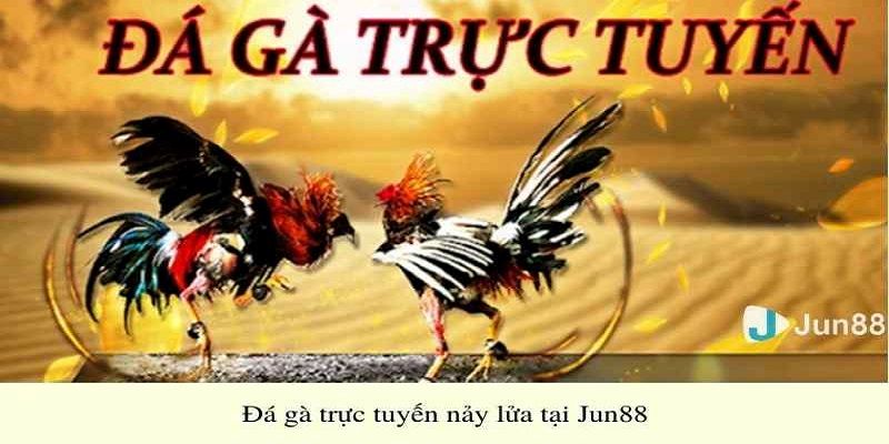Đăng ký tài khoản đá gà tại Jun88