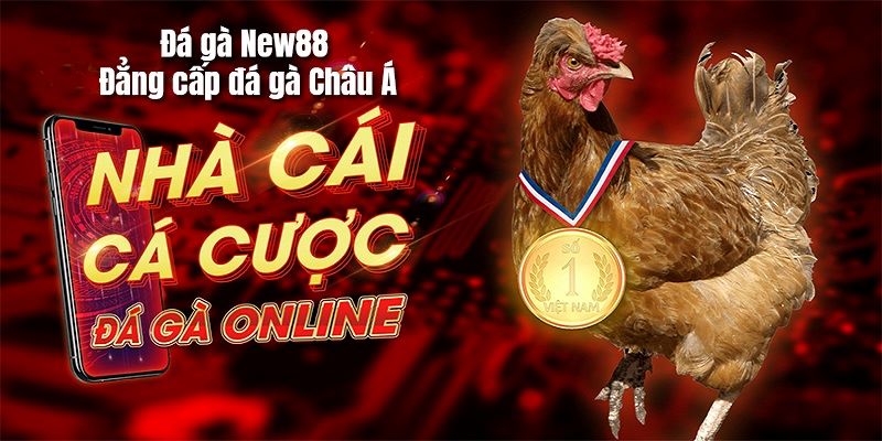 New88 sân chơi trường gà đẳng cấp