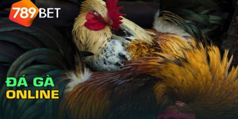 789bet sân chơi đáng tin cậy
