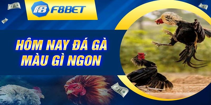 F8bet thiên đường đá gà
