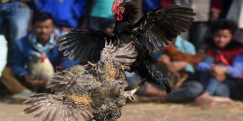 Kubet sàn đấu của chiến kế