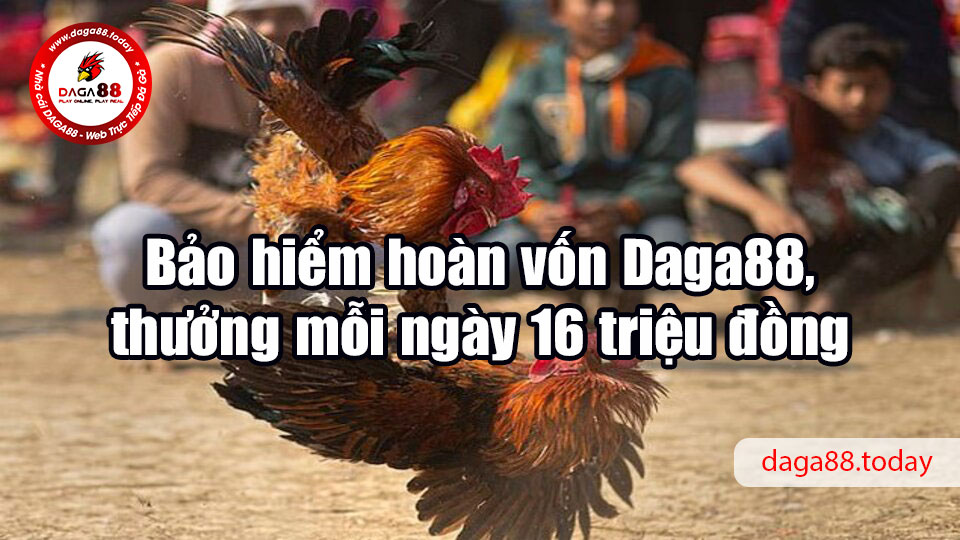 Bảo hiểm hoàn vốn Daga88, thưởng mỗi ngày 16 triệu đồng