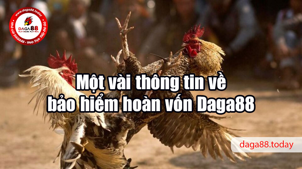 Một vài thông tin về bảo hiểm hoàn vốn Daga88