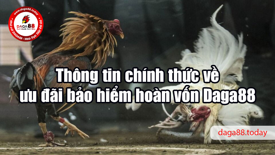 Thông tin chính thức về ưu đãi bảo hiểm hoàn vốn Daga88