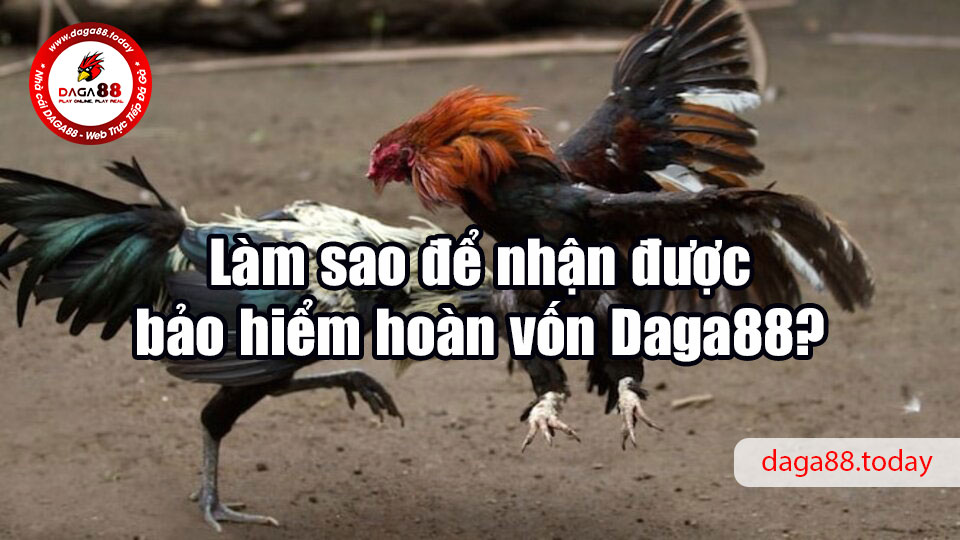 Làm sao để nhận được bảo hiểm hoàn vốn Daga88?