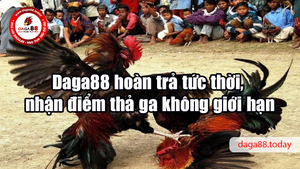 Daga88 hoàn trả tức thời, nhận điểm thả ga không giới hạn